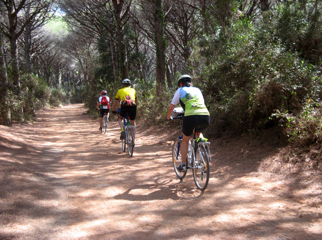 Radtour durch den Pinienwald