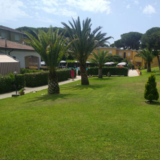 Giardino con palme e fontana