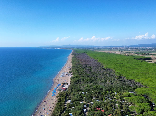 Luftaufnahme der Küste und des Pinienwaldes von Marina di Bibbona